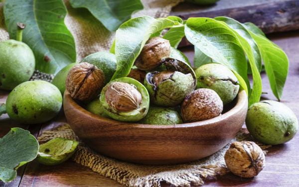 تصویر 3 از خرید و قیمت گردو تازه تویسرکان + فروش عمده